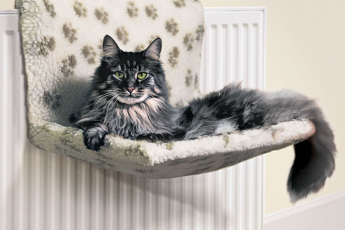 Cat Radiator Beds 